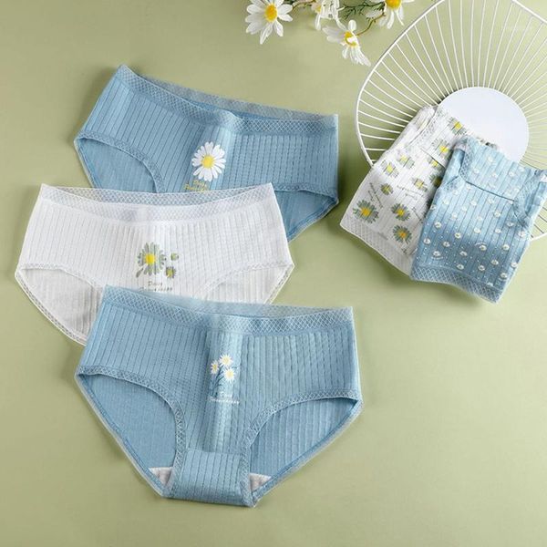 lovely ruffles transparent small daisy panties cotton women black cool knickers fashion lotus lady briefs underwear lingeries1, Black;pink
lovely ruffles transparent small daisy panties cotton women black cool knickers fashion lotus lady briefs underwear lingeries1, Black;pink