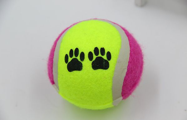 20pcs/carton brand new tennis ball tournament outdoor fun cricket beach dog activ jllpez home003
20pcs/carton brand new tennis ball tournament outdoor fun cricket beach dog activ jllpez home003