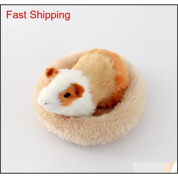 buy 1 get 4 pet house nest for small animals warm guinea hamster cushion mat round shape pet bed for squir qylzog sports2010
buy 1 get 4 pet house nest for small animals warm guinea hamster cushion mat round shape pet bed for squir qylzog sports2010