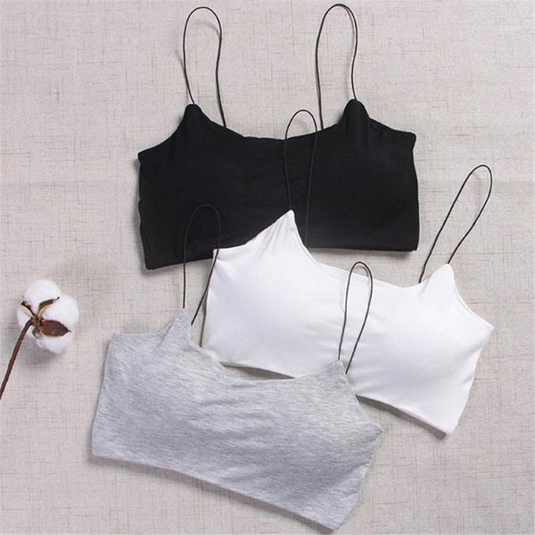 ladies seamless sports underwear wire comfortable and breathable sleep bra black gray white cyhwr1, Red;black
ladies seamless sports underwear wire comfortable and breathable sleep bra black gray white cyhwr1, Red;black