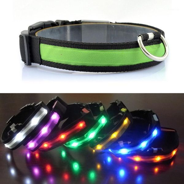 dog collars & leashes nylon led pet collar night safety flashing glow in the dark leash luminous fluorescent necklace supplies1
dog collars & leashes nylon led pet collar night safety flashing glow in the dark leash luminous fluorescent necklace supplies1