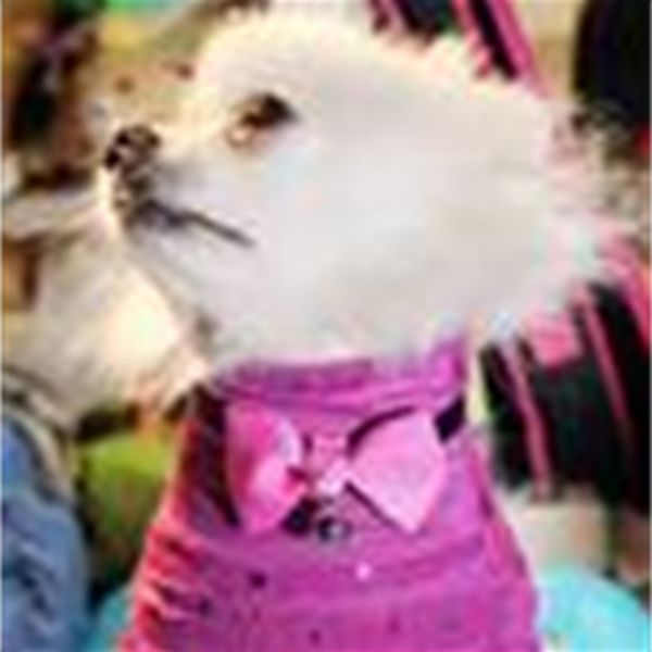 collar new style adjustable pet dog bow cat tie with silver bell handmake mixed 15 styles 30pcs/lot
collar new style adjustable pet dog bow cat tie with silver bell handmake mixed 15 styles 30pcs/lot