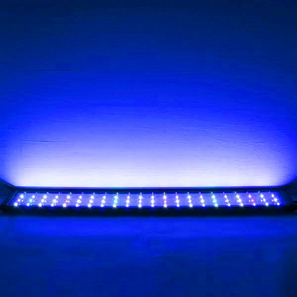 selling 18w 66led full spectrum sea coral lamp 35.43inch black us standard zc001224 (suitable for 35.43-43.3inch long aquarium)
selling 18w 66led full spectrum sea coral lamp 35.43inch black us standard zc001224 (suitable for 35.43-43.3inch long aquarium)