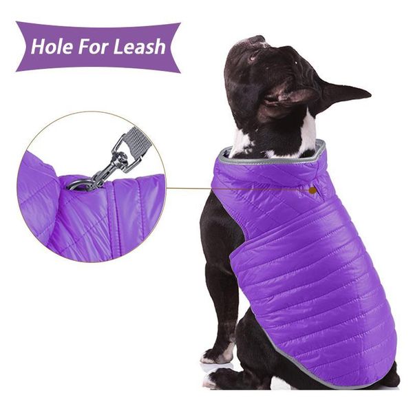reversible small dog down jacket dual colors reflective winter dog clothes for large dogs pet chihuahua coat french bull jllfnp
reversible small dog down jacket dual colors reflective winter dog clothes for large dogs pet chihuahua coat french bull jllfnp