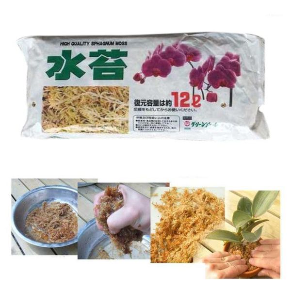 dry moss sphagnum moss water dry water grass phalaenopsis special bonsai flower soilless cultivation substrate1 
dry moss sphagnum moss water dry water grass phalaenopsis special bonsai flower soilless cultivation substrate1