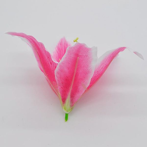 10pcs lot 18cm silk lily artificial flower head for wedding decoration diy garland decorative floristry fake flowers bbyinm xmhyard
10pcs lot 18cm silk lily artificial flower head for wedding decoration diy garland decorative floristry fake flowers bbyinm xmhyard