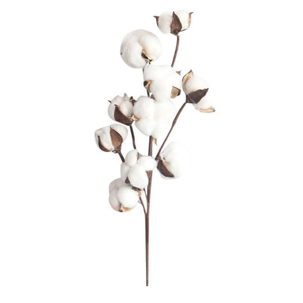naturally dried cotton stems farmhouse artificial flower filler floral decor fake flower cotton diy garland home weddi jllifc
naturally dried cotton stems farmhouse artificial flower filler floral decor fake flower cotton diy garland home weddi jllifc