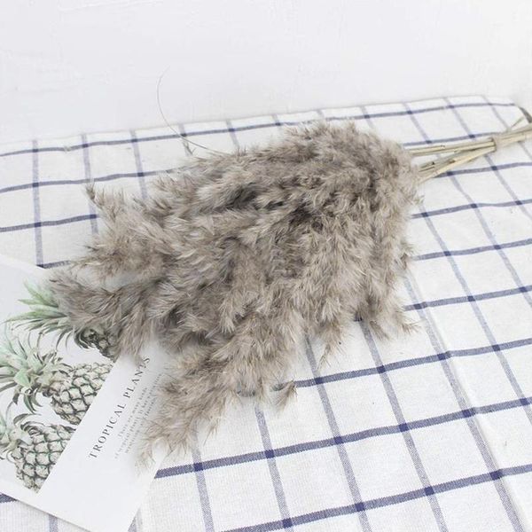 1 bunch pampas grass dried reeds flowers real natural decor props party pampa diy grass bouquet home dry wedding pampas pla e7c4
1 bunch pampas grass dried reeds flowers real natural decor props party pampa diy grass bouquet home dry wedding pampas pla e7c4