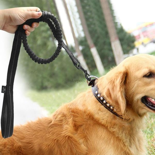 reflective stitching bungee dog leash elastic dog walkingtraining lead with clicker black reflective s bbyteu
reflective stitching bungee dog leash elastic dog walkingtraining lead with clicker black reflective s bbyteu