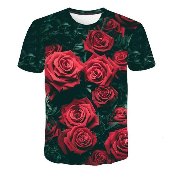 rose design picturesque male landscape scenery men/women 3d print snow mountain tshirt t-shirt casual summer tees, White;black
rose design picturesque male landscape scenery men/women 3d print snow mountain tshirt t-shirt casual summer tees, White;black
