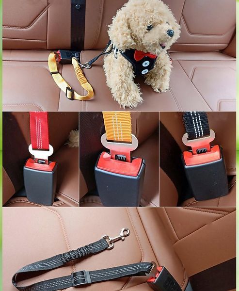 seat chain elastic rope pet car dog dog car reflective seat belt traction lead belt safety bbynm bwkf
seat chain elastic rope pet car dog dog car reflective seat belt traction lead belt safety bbynm bwkf