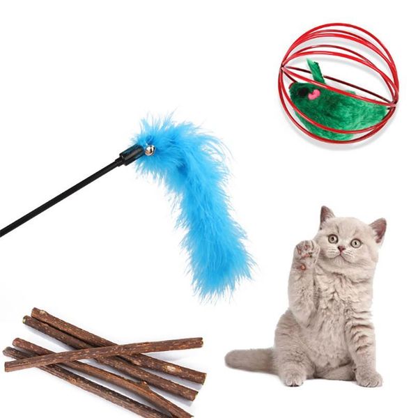 28pcs cat toys set kitten toys assorted cat tunnel catnip fish feather teaser wand fish fluffy mouse mice balls and be jllrgb
28pcs cat toys set kitten toys assorted cat tunnel catnip fish feather teaser wand fish fluffy mouse mice balls and be jllrgb