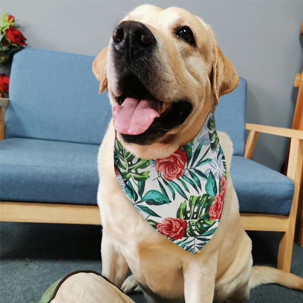 pet bandana grose для собак небольшая средняя большая собака шарф шарф шарф ремесленники регулируемые хлопчатобумажные напечатанные банданы
pet bandana grose для собак небольшая средняя большая собака шарф шарф шарф ремесленники регулируемые хлопчатобумажные напечатанные банданы
