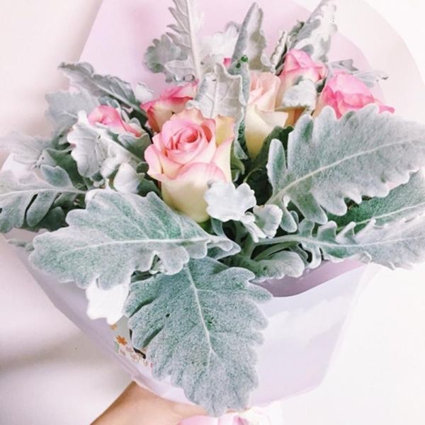 matte surface transparent packaging material bouquet flower supplies wrapping paper gift
matte surface transparent packaging material bouquet flower supplies wrapping paper gift