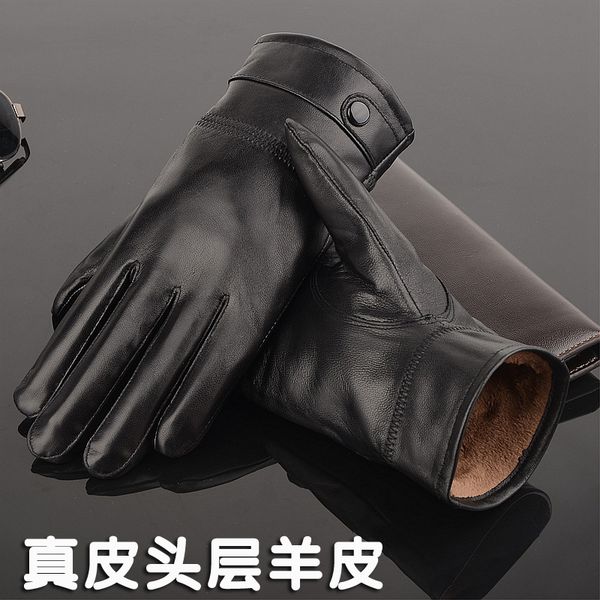 winter cold proof and warm sheepskin with cashmere thickening for men's thin riding leather gloves
winter cold proof and warm sheepskin with cashmere thickening for men's thin riding leather gloves