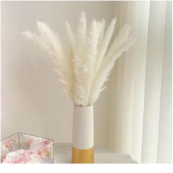 bulrush natural dried flowers artificial plants branch colorful ins pampas grass phragmites fake flower wedding home de wmtiit
bulrush natural dried flowers artificial plants branch colorful ins pampas grass phragmites fake flower wedding home de wmtiit