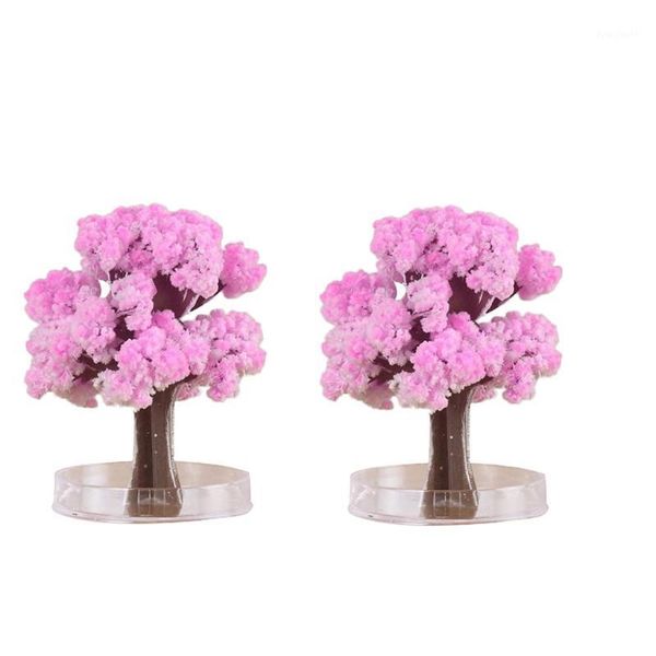 magic sakura paper tree blossom gift paper tree magic growing toy boys girls novelty xmas valentines day gift dropshipping1
magic sakura paper tree blossom gift paper tree magic growing toy boys girls novelty xmas valentines day gift dropshipping1