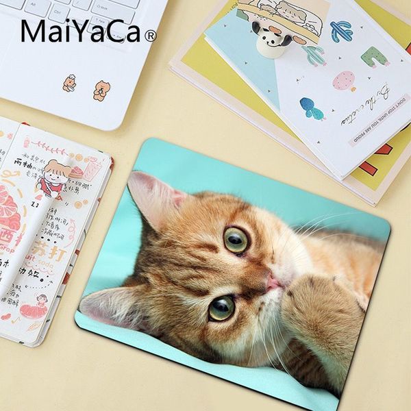 4fds2awmaiyaca quality cute cat keyboard mousepads selling wholesale gaming pad mouse
4fds2awmaiyaca quality cute cat keyboard mousepads selling wholesale gaming pad mouse
