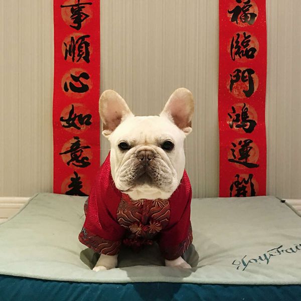 fadou new year's drs auspicious cloud pattern brocade raglan sleeve with cotton thickened fadahong qipao
fadou new year's drs auspicious cloud pattern brocade raglan sleeve with cotton thickened fadahong qipao