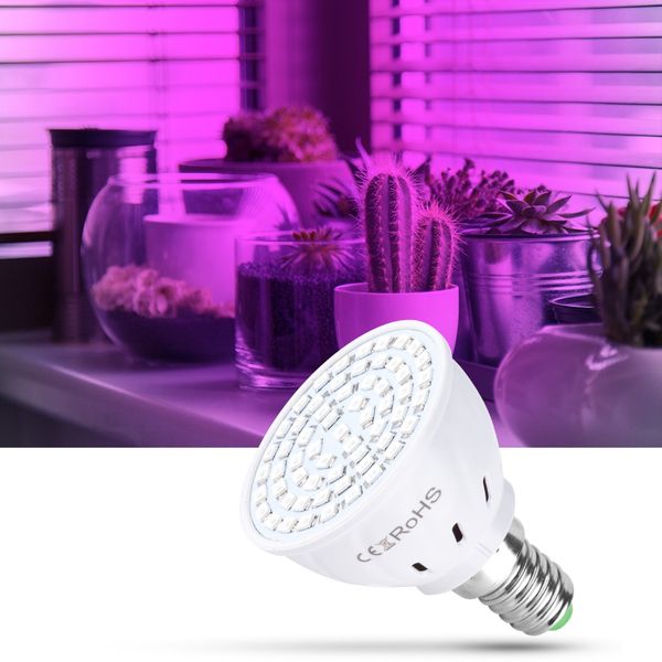 led plant lamp cup e27 /e14 /mr16 /gu10 /b22 plant growth 220v plant fill light phyto led grow bulb full spectrum seedling
led plant lamp cup e27 /e14 /mr16 /gu10 /b22 plant growth 220v plant fill light phyto led grow bulb full spectrum seedling
