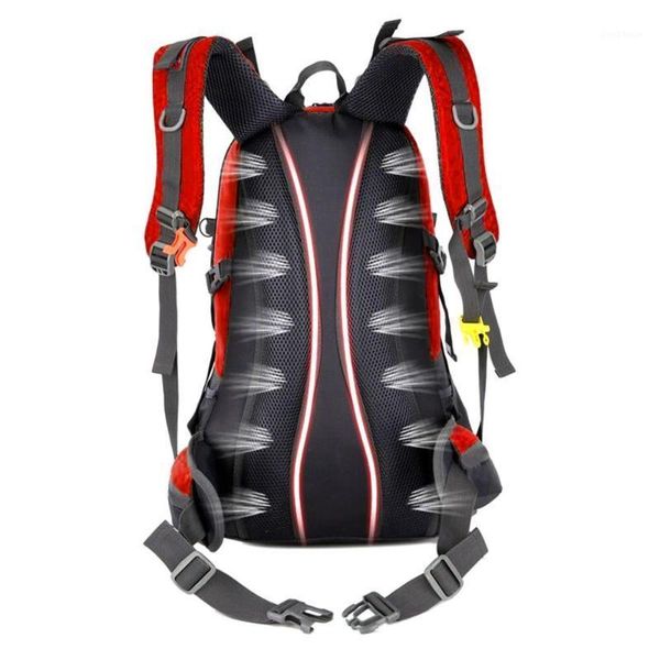 outdoor bags waterproof nylon cotton travel bag mountaineering backpack practical rucksack sports knapsack portable durable1
outdoor bags waterproof nylon cotton travel bag mountaineering backpack practical rucksack sports knapsack portable durable1