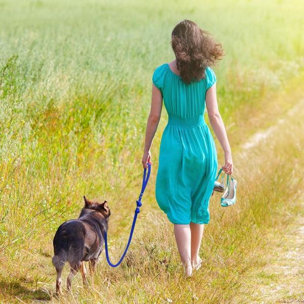 seude leather dog leash rope small medium dogs walking lead leashes strap bling rhinestone bowknot accessories pet suppl jlldsy
seude leather dog leash rope small medium dogs walking lead leashes strap bling rhinestone bowknot accessories pet suppl jlldsy