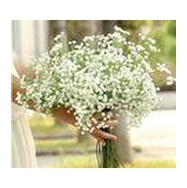 5 bunch artificial gypsophila baby breath fake silk babysbreath flowers plant home wedding party deco sqcbgq wphome
5 bunch artificial gypsophila baby breath fake silk babysbreath flowers plant home wedding party deco sqcbgq wphome