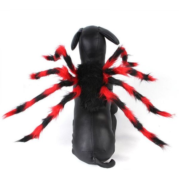 puppy supplies pet clothes for hallowen christmas cat small dog clothes spider cosplay costume pet creative costume l0fmx
puppy supplies pet clothes for hallowen christmas cat small dog clothes spider cosplay costume pet creative costume l0fmx