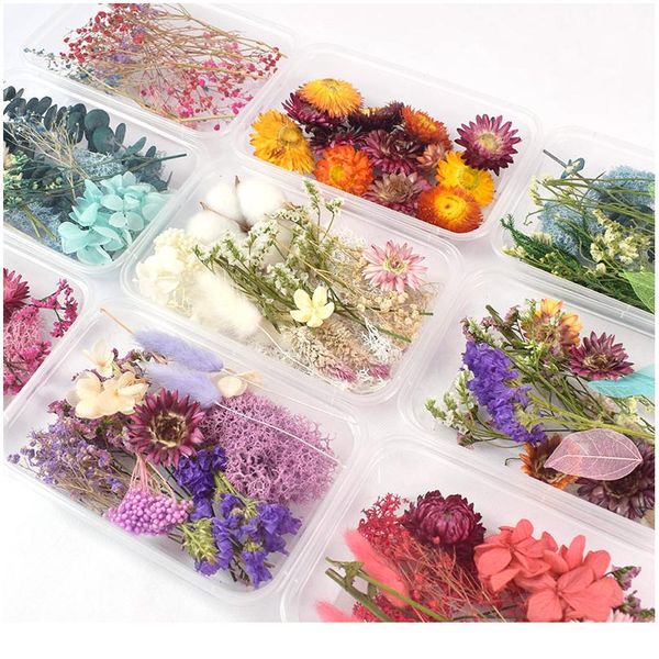 1 box real dried flower dry plants for aromatherapy candle epoxy resin pendant necklace jewelry making craft diy acc wmtcur
1 box real dried flower dry plants for aromatherapy candle epoxy resin pendant necklace jewelry making craft diy acc wmtcur