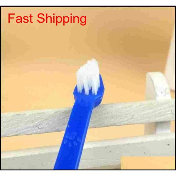 pet supplies cat puppy dog dental grooming toothbrush dog health supplies color random qylzkr homes2011
pet supplies cat puppy dog dental grooming toothbrush dog health supplies color random qylzkr homes2011