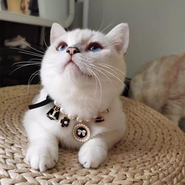 cat accessories cats accessories cat necklace dog for small cats for small dogs pet chihuahua collar
cat accessories cats accessories cat necklace dog for small cats for small dogs pet chihuahua collar