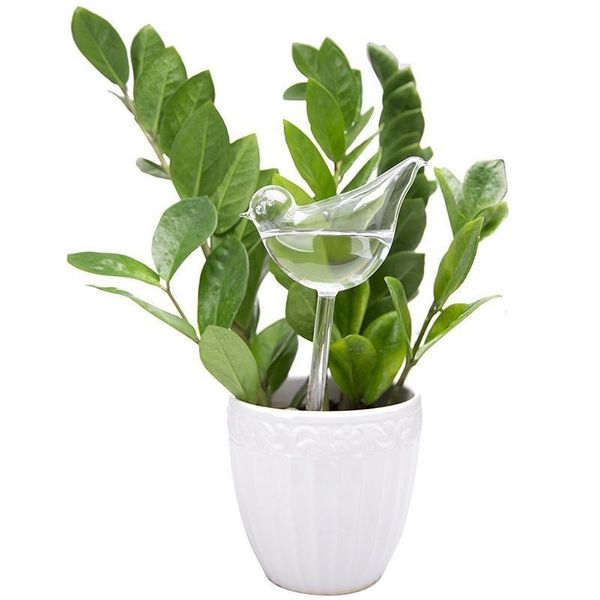 watering equipments house water houseplant plant pot bulb automatic self device -bird
watering equipments house water houseplant plant pot bulb automatic self device -bird