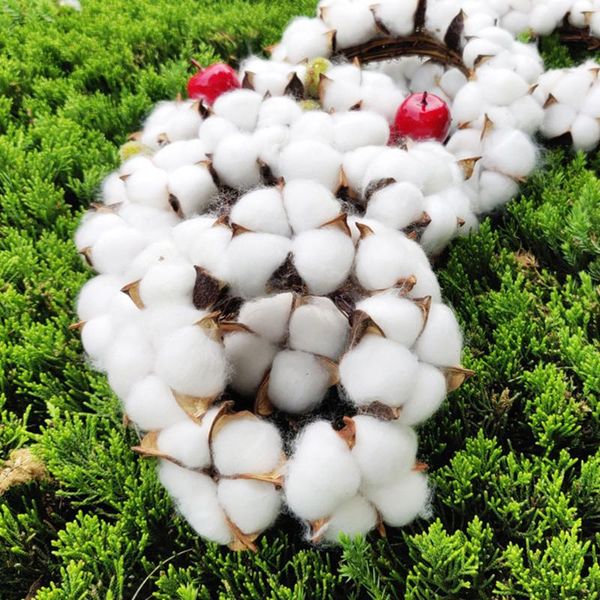 decorative flowers & wreaths diy wreath artificial kapok dried flower cotton wedding home christmas decoration supplies bouquet gift box
decorative flowers & wreaths diy wreath artificial kapok dried flower cotton wedding home christmas decoration supplies bouquet gift box