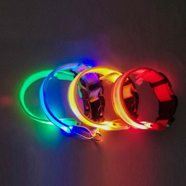 usb charging led dog collar safety anti-lost avoid car accident collar for cat and dog puppy leads led pet products
usb charging led dog collar safety anti-lost avoid car accident collar for cat and dog puppy leads led pet products