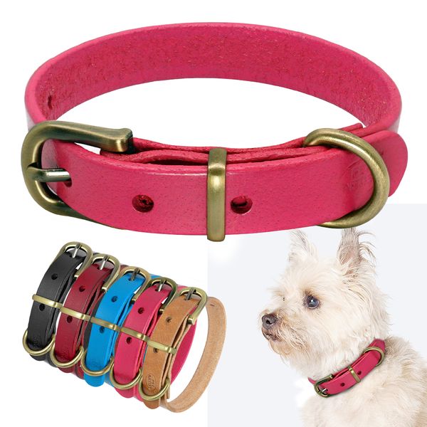 small and medium with smooth leather pet adjustable dog collar, chihuahua, york, pug, french bulldog
small and medium with smooth leather pet adjustable dog collar, chihuahua, york, pug, french bulldog
