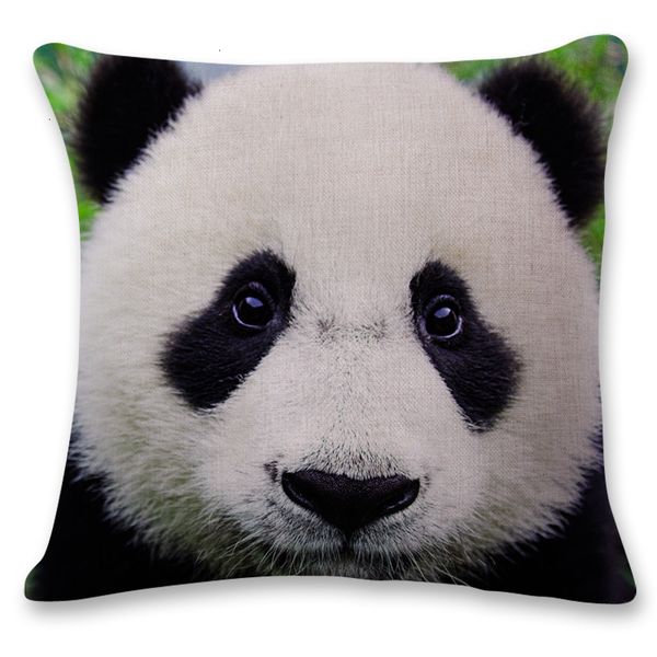 3d animals world portrait cushion tiger lion orangutan pillowcase home sofa decorative linen pillow cover 10 colors 45*4 9 n5tr6
3d animals world portrait cushion tiger lion orangutan pillowcase home sofa decorative linen pillow cover 10 colors 45*4 9 n5tr6