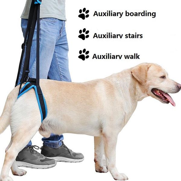 dog collars & leashes 2021 adjustable lift harness for pet back legs support sling help weak stand up dogs aid assist tool
dog collars & leashes 2021 adjustable lift harness for pet back legs support sling help weak stand up dogs aid assist tool