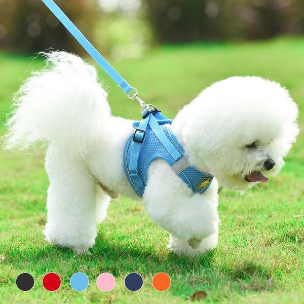 dog collars & leashes breathable harness multicolor supplies chihuahua accessories vest-style puppy leash reflective pet seat belt cat produ
dog collars & leashes breathable harness multicolor supplies chihuahua accessories vest-style puppy leash reflective pet seat belt cat produ