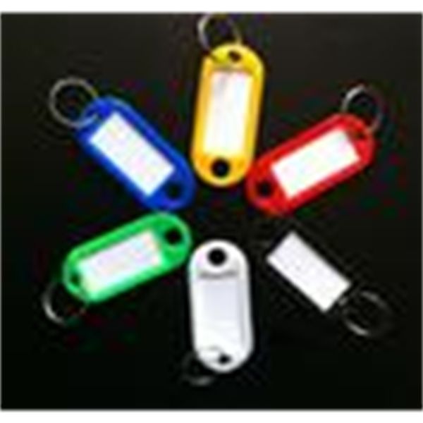 key id labels tags with 500pieces/lot plastic ring split rings ing, Silver
key id labels tags with 500pieces/lot plastic ring split rings ing, Silver