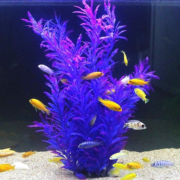 50cm artificial fish tank rare plants aquarium fake bamboo leaf water grass plastic purple green water grass landscaping decor
50cm artificial fish tank rare plants aquarium fake bamboo leaf water grass plastic purple green water grass landscaping decor
