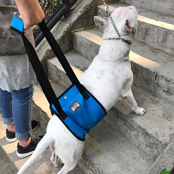 black/blue pet lift support old dog helpful assists straps with handle for injured hind legs dogs s/m/l/xl^1
black/blue pet lift support old dog helpful assists straps with handle for injured hind legs dogs s/m/l/xl^1