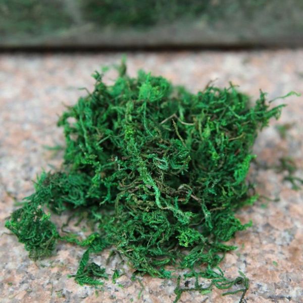 decorative flowers & wreaths artificial moss lichen simulation fake green plants for home garden patio decoration - (750g)
decorative flowers & wreaths artificial moss lichen simulation fake green plants for home garden patio decoration - (750g)