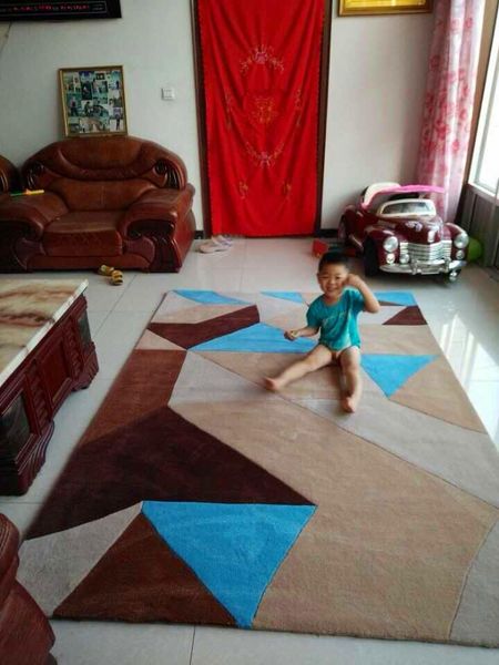 carpets plans to customize handmade living room bedroom fashion creative coffee table sofa individuality carpet kind shooting
carpets plans to customize handmade living room bedroom fashion creative coffee table sofa individuality carpet kind shooting