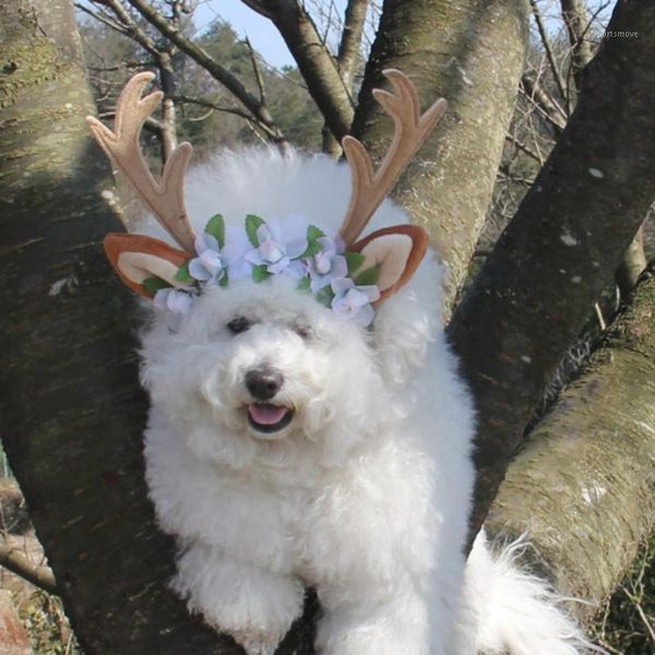 dog apparel 01 2021 christmas deer design printed flower hats for cats caps headband cat accessories pet supplies 11
dog apparel 01 2021 christmas deer design printed flower hats for cats caps headband cat accessories pet supplies 11