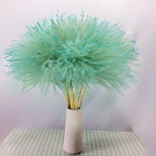 10pcs natural pampas grass decor flower dried plants wedding flowers bunch christmas home decor colorful phragmites communis1
10pcs natural pampas grass decor flower dried plants wedding flowers bunch christmas home decor colorful phragmites communis1
