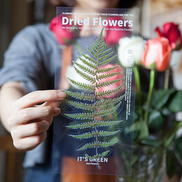 weekend flower shop retro plant decoration sticker scrapbook sticker label diary album stationery pgraphy accessories wmtvol
weekend flower shop retro plant decoration sticker scrapbook sticker label diary album stationery pgraphy accessories wmtvol