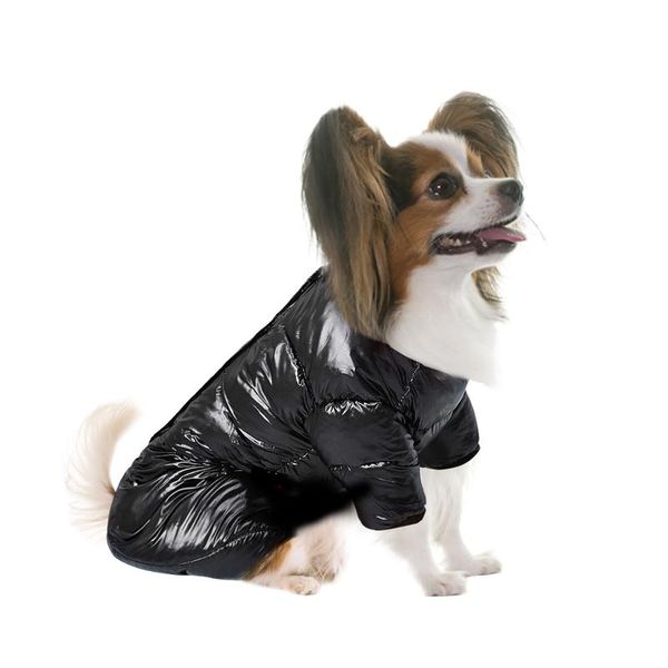 dog apparel thickened winter snow cotton clothing pet clothes coat warm outfit down parkas puppy
dog apparel thickened winter snow cotton clothing pet clothes coat warm outfit down parkas puppy