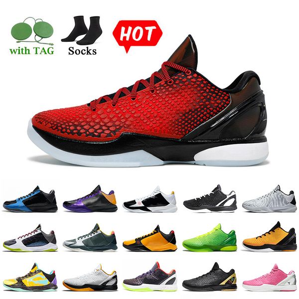 with socks protro 5 6 mens trainers basketball shoes 5s 6s challenge red all-star mambacita chaos playoff pack white del sol bhm grinch big
with socks protro 5 6 mens trainers basketball shoes 5s 6s challenge red all-star mambacita chaos playoff pack white del sol bhm grinch big