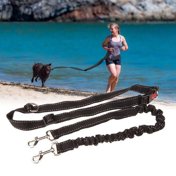 dog leash traction belt durable practical accessories pet elastic nylon training outdoor hands jogging running walking1
dog leash traction belt durable practical accessories pet elastic nylon training outdoor hands jogging running walking1