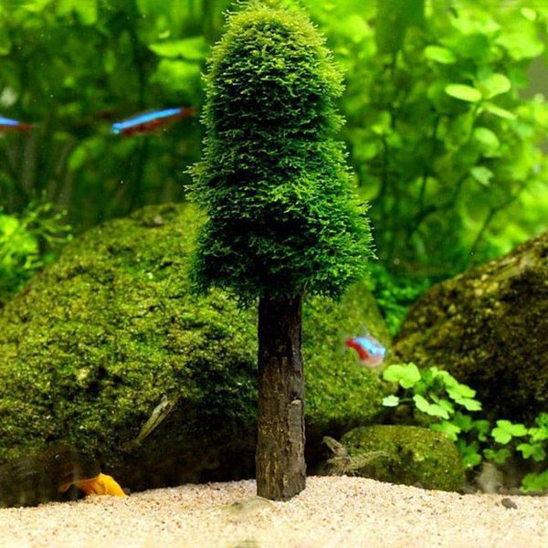 decorations 2021 aquarium decoration supplies green moss simulation christmas tree fish tank decor landscape ornament
decorations 2021 aquarium decoration supplies green moss simulation christmas tree fish tank decor landscape ornament